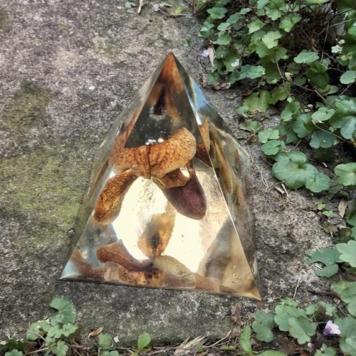 stealthflower:One of the parcels that left yesterday was this mighty #slipperorchid in #resin. It&rs