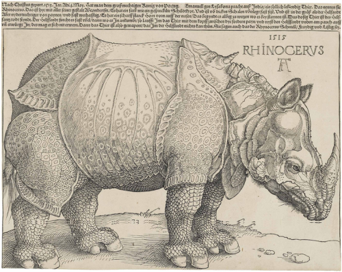 First edition woodcut print of a rhinoceros created by Albrecht Dürer in 1515.In 1515 an Indian Rhin