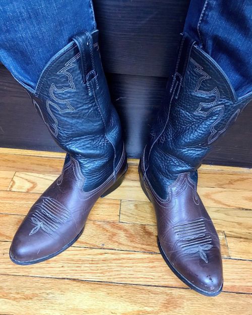 How about some pointed toes? These Ariats are pointy, black and brown and very lickable! #cowboyboo