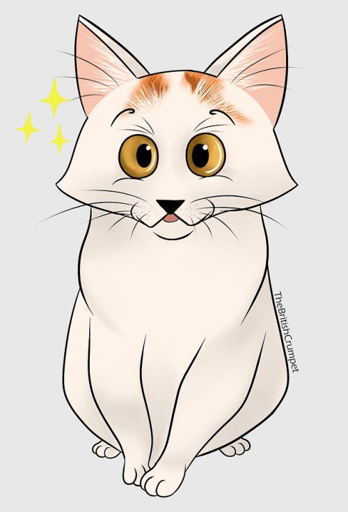 I was browsing reddit and saw this adorable little kitty called Killy and had to draw them!A big tha