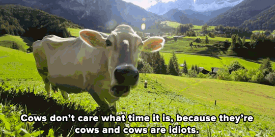 micdotcom:  Watch: John Oliver dismantles daylight saving time in 3 genius minutes