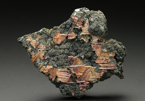 hematitehearts: Twinned Rutile on Dark Green Chlorite Locality:  Bortelhorn area Switzerland