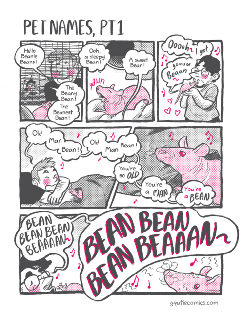 gqutie:  (The first song to the tune of “I Got You Babe” by Sonny and Cher, the last son