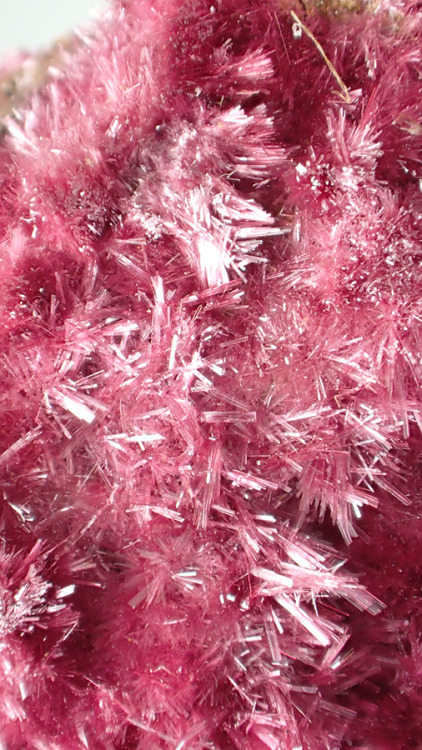 bijoux-et-mineraux: Erythrite - Carcoar Mine, Bathurst County, New South Wales, Australia