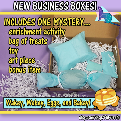 This month’s FERRET MYSTERY BOXES are up on my etsy!Business Boxes are the best way to keep some exc