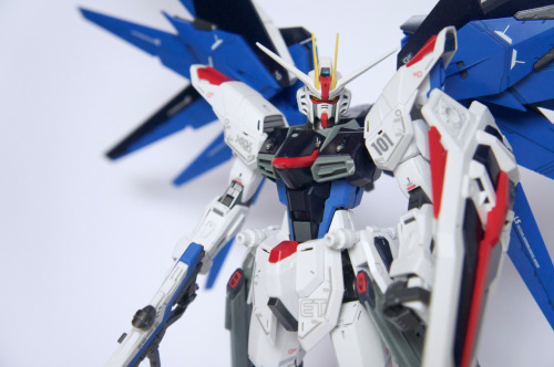 Master Grade Freedom Gundam 2.0 assembled, painted and photography by Scandalousgaijin