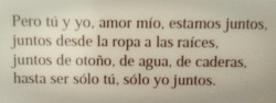 hachedesilencio:  Pablo Neruda Cien sonetos de amor