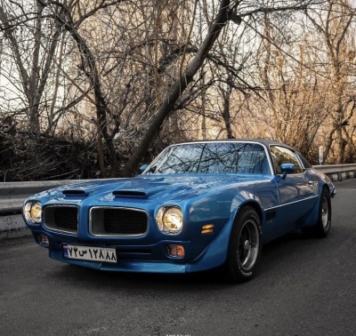 XXX johnnyblaze64:71 Pontiac Firebird  photo