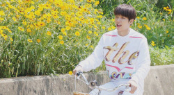 nwhn:   Nam Woohyun (남우현) : Flower