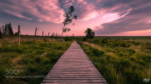 WAY TO INFINITY by mjk-photo