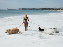 kayseeray:  Just a girl with all her dogs 💙