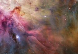 back-to-the-stars-again: The Orion Nebula.  Credit: NASA, ESA and the Hubble Heritage Team (STScI/AURA) 