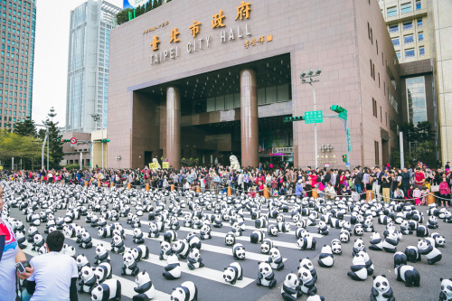 2106. WWF Pandas World Tour. 1600 paper mache pandas take over Taipei.