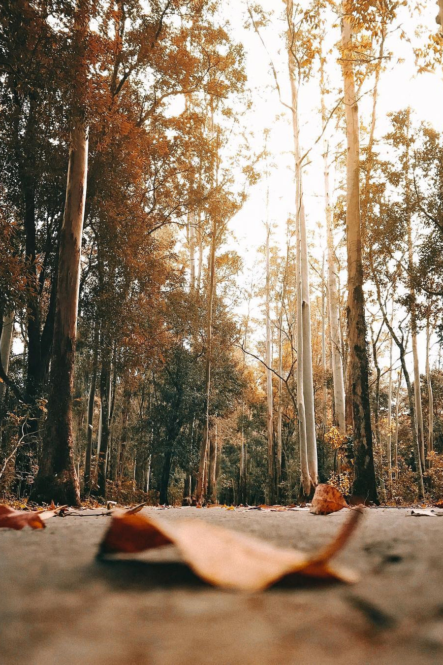 heaven-ly-mind:  Source