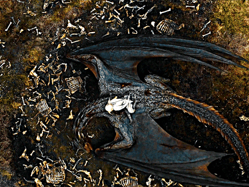 DAENERYS TARGARYEN And DROGON Game Of Thrones (2011-2019) 5.10