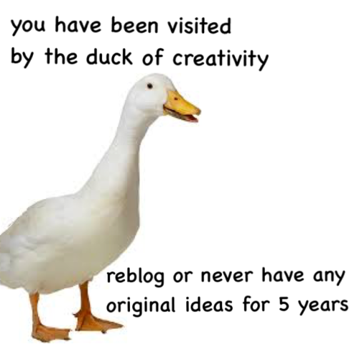 laderdesders1: fitmaree: Can’t risk it The duck of creativity. I waited so long for it.