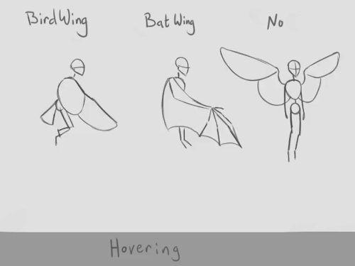 Flight Cycle Animations