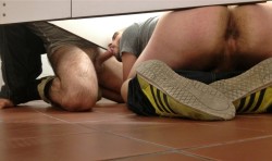 gloryholesandunderstall:  Because we all like anonymous oral at lunch, on campus, in the par, or at the rest area.