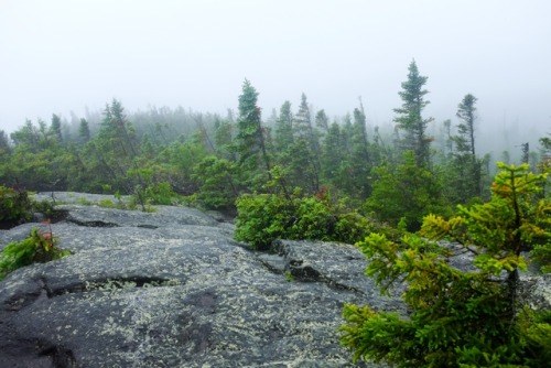 pedrodynomite:New Hampshire White Mountains