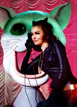 vintagegal:  Julie Newmar as Catwoman on