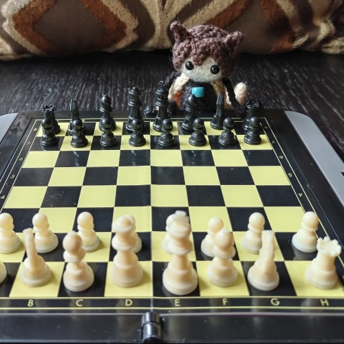 Alright, Tinyzai, Time For Some Enrichment! How About A Game Of Chess?