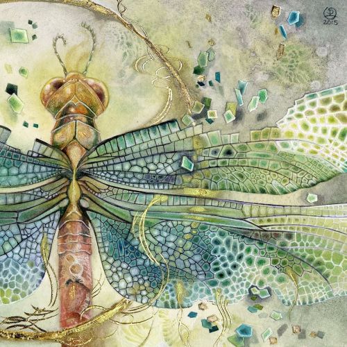 shadowscapes-stephlaw:“Disintegration” from my #Insecta series. Prints at www.shadowscapes.com