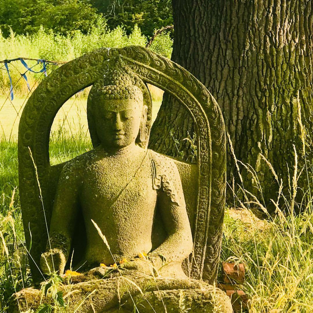 Tree-sitting Buddha from my retreat/pilgrimage to spiritual spots across the UK, last week.
.
And breathe 💨.
.
It’s funny - I’ve wanted to write all these dynamic ‘pow’ posts for the past few days but kept feeling I needed to post these still photos,...