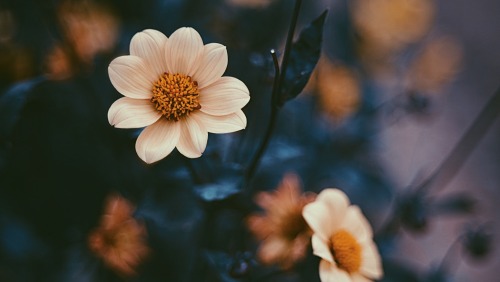 It Smells Like Autumn. Let's Take A Deep Breath.