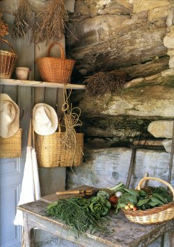 robert-hadley: Photo - Provence Interiors by Taschen