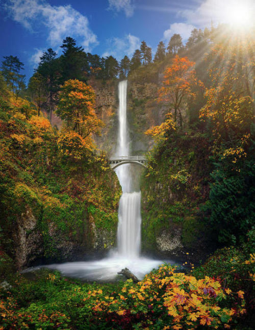 renamonkalou:Multnomah Falls In Autumn Colors  William Lee