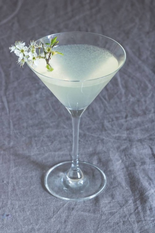 foodffs: Lemon Drop Martini Follow for recipes Is this how you roll?
