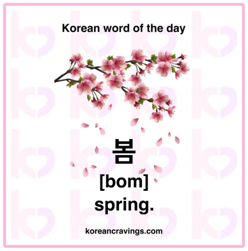 koreancravingshop: A simple, one-syllable word for today!