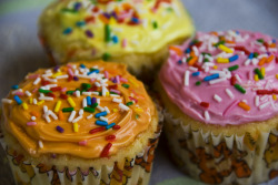 delectabledelight:  cupcakes02 (by tangible_audio) 