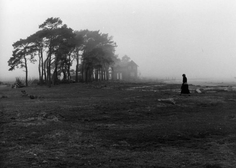 fuckingfreud:The Sacrifice (Swedish: Offret), 1986, directed by Andrei Tarkovsky.