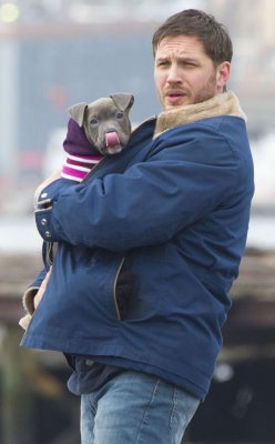 charlidos:  Close-ups on Tom and his little puppy.  