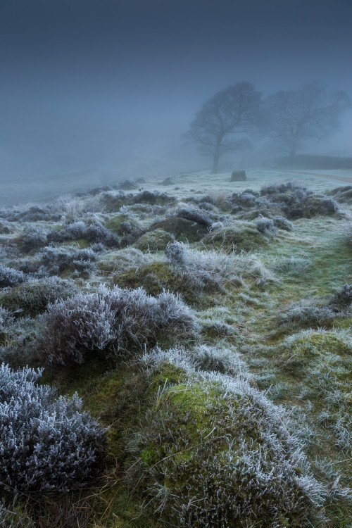 Textures Of Winter by Explorography