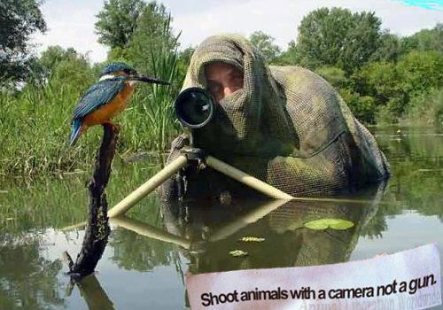 Babulfilms — caringworld: Shoot animals with a camera, not a...