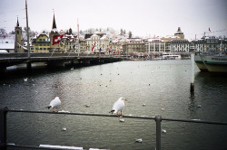 northern-lights-soul:  Lucerne, Switzerland