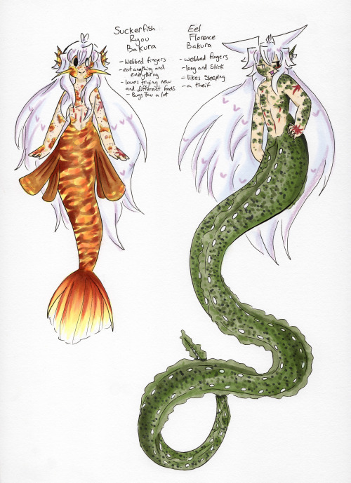 Hikari’s, Yami’s and Anzu’s Merfolk designs-The bottom combined image is a height comparison-Separat