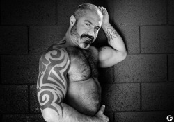 planesdrifter:  Follow planesdrifter: trueTHAT if you’re an admirer of older, hairy natural and muscular men. Check it out and the archive too or the live cams.