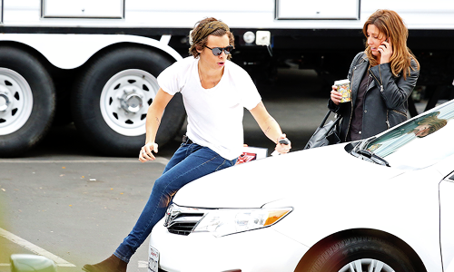 safaribrowser:  #all i can think about is that text message about harrys legs