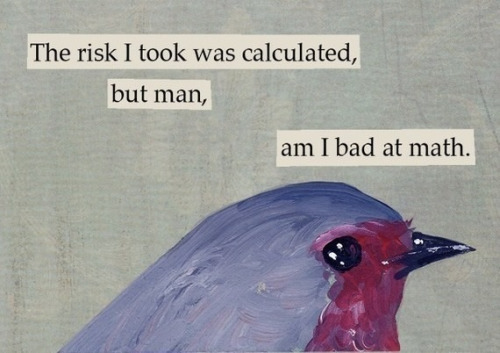 depressionlemon: tostadasheep: candycorned: pugnacious-behavior: vvhaleshark: what did this bird do 