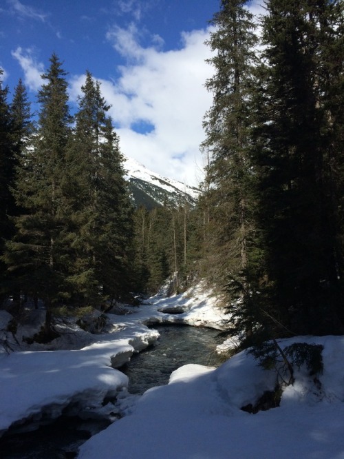 Upper and Lower Winner Creek TrailChugach Natl Forest The Winner Creek Trail is a soft sauntering pa