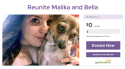 Llttlemermaid:  Donate Here On The Last Week Of July I Was Planning My Move From