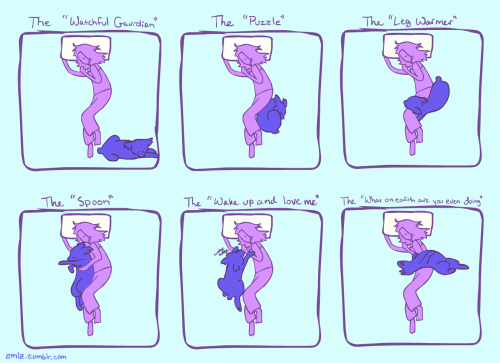 Diagram of Gypsy’s favorite sleeping positions. (Blanket removed for the sake of clarity)