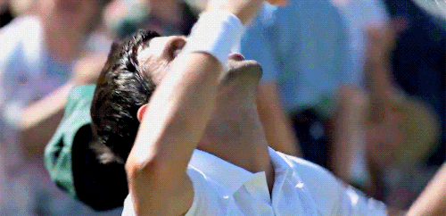 gif-set-match: Novak Djokovic celebrates winning his 4th Wimbledon title and 13th slam overall, defe
