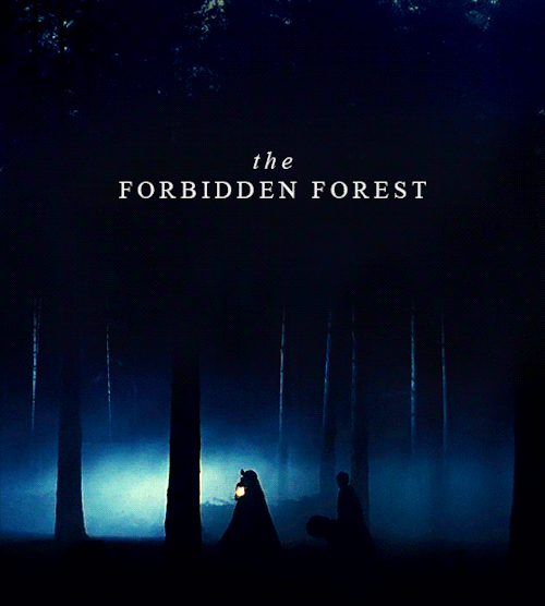 thegreylady:Every Chapter of Harry Potter → Philosopher’s Stone, Chapter 15“ So Harry set off into t