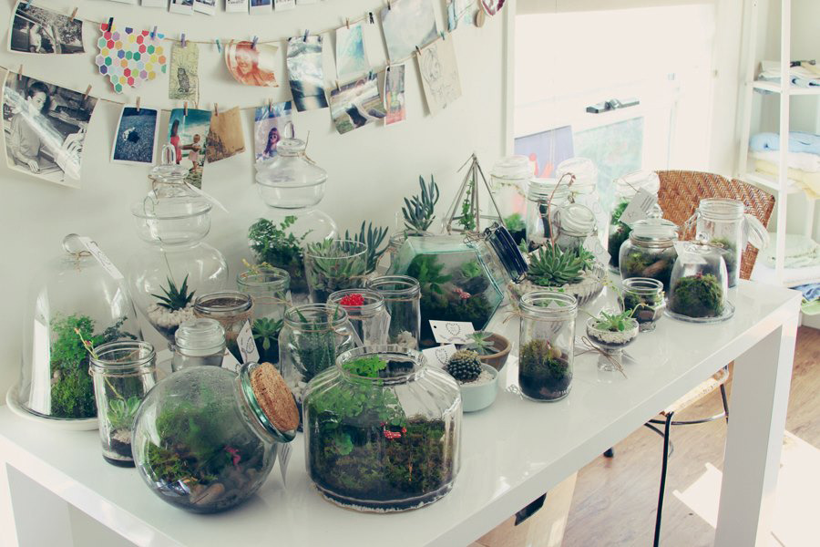 helloyounglionsxo:  I make and sell terrariums as a little hobby that makes me happy