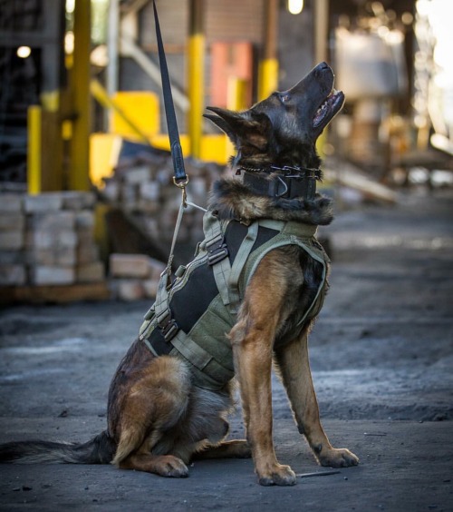 bubbalicious28:  Via LBT 