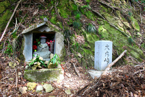 20180428（土）昨年のシャクナゲ繚乱が見たくて、今年も火燈山（ひともしやま）から富士写ヶ岳（ふじしゃがだけ）を縦走した。（登山口から登山口まで9：00から14：19、5時間19分、食事はバナナと